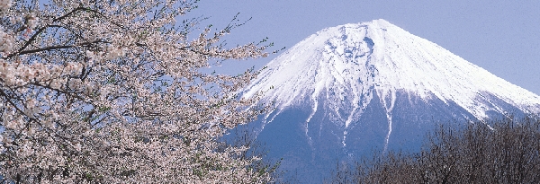 Mt-fuji.jpg
